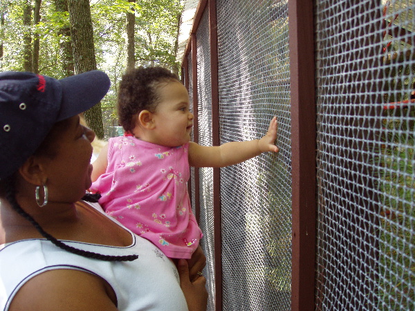 "How did the birds get in there, Mommy?"