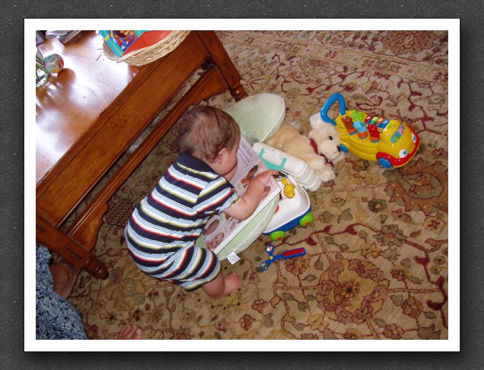 Joey settles down with a book