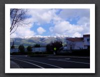 Milpitas Snowcaps #2