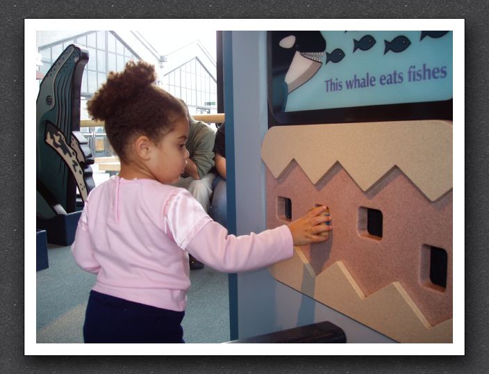 Hands-on exhibits