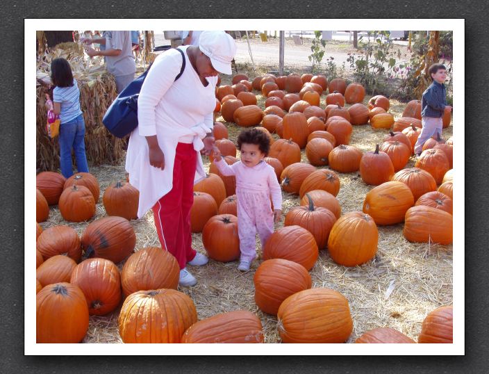 Pumpkin patch