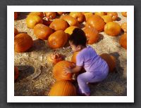 Kayla in the pumpkin patch