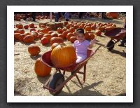 Kayla could fit inside this pumpkin