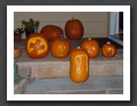 Family pumpkin gallery